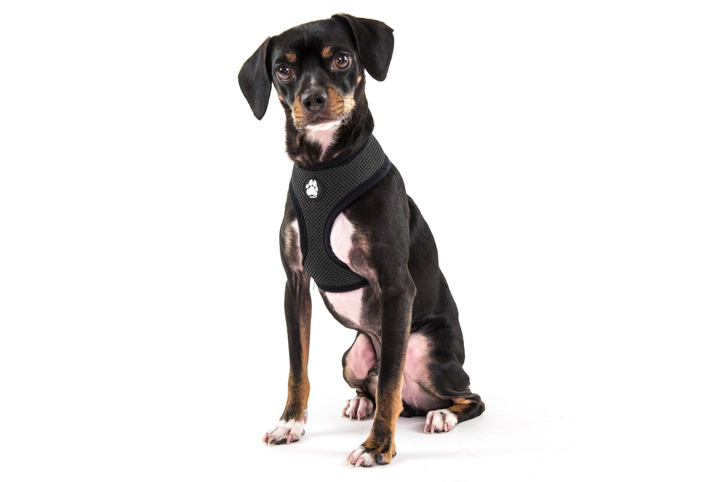 Soft & Comfy Mesh Dog Harness