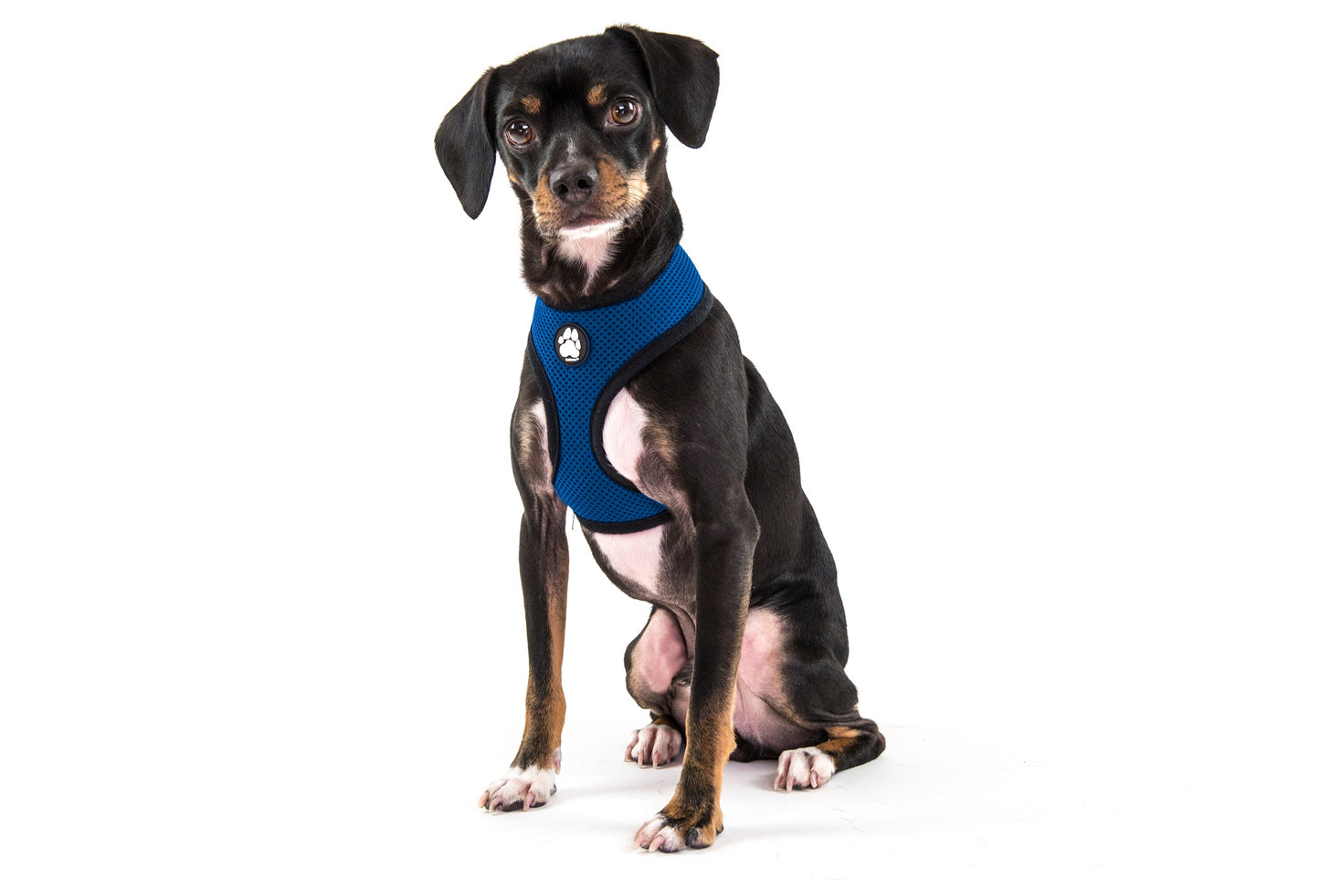 Soft & Comfy Mesh Dog Harness