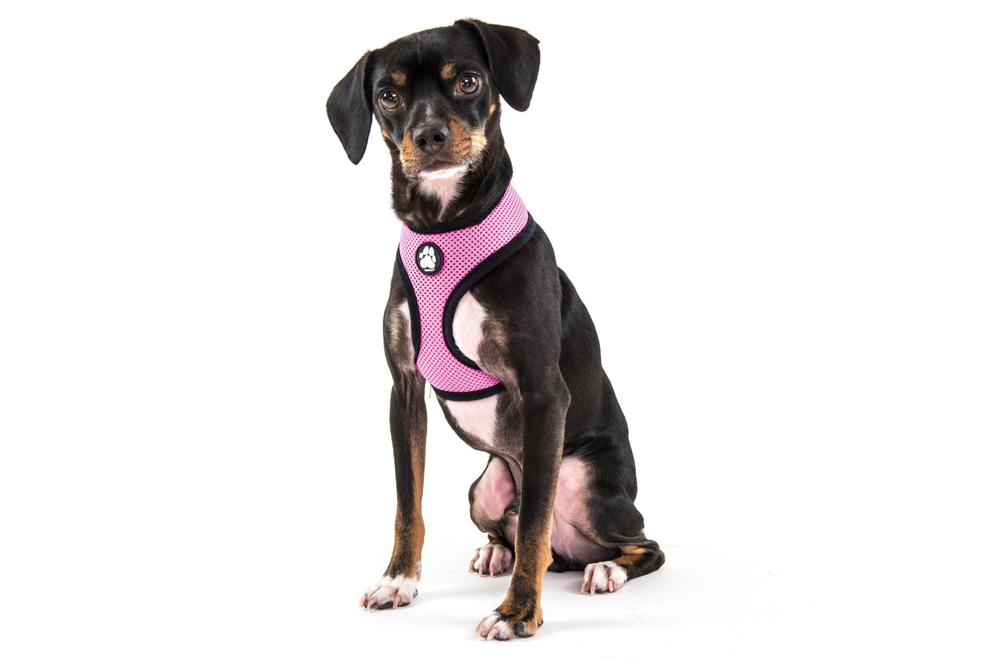 Soft & Comfy Mesh Dog Harness