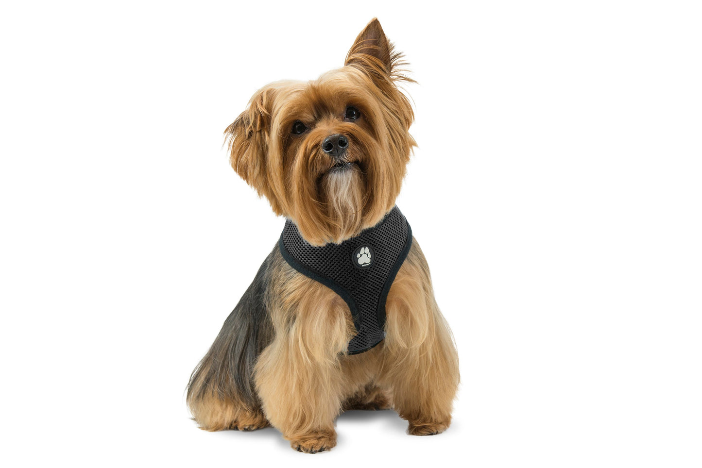 Soft & Comfy Mesh Dog Harness
