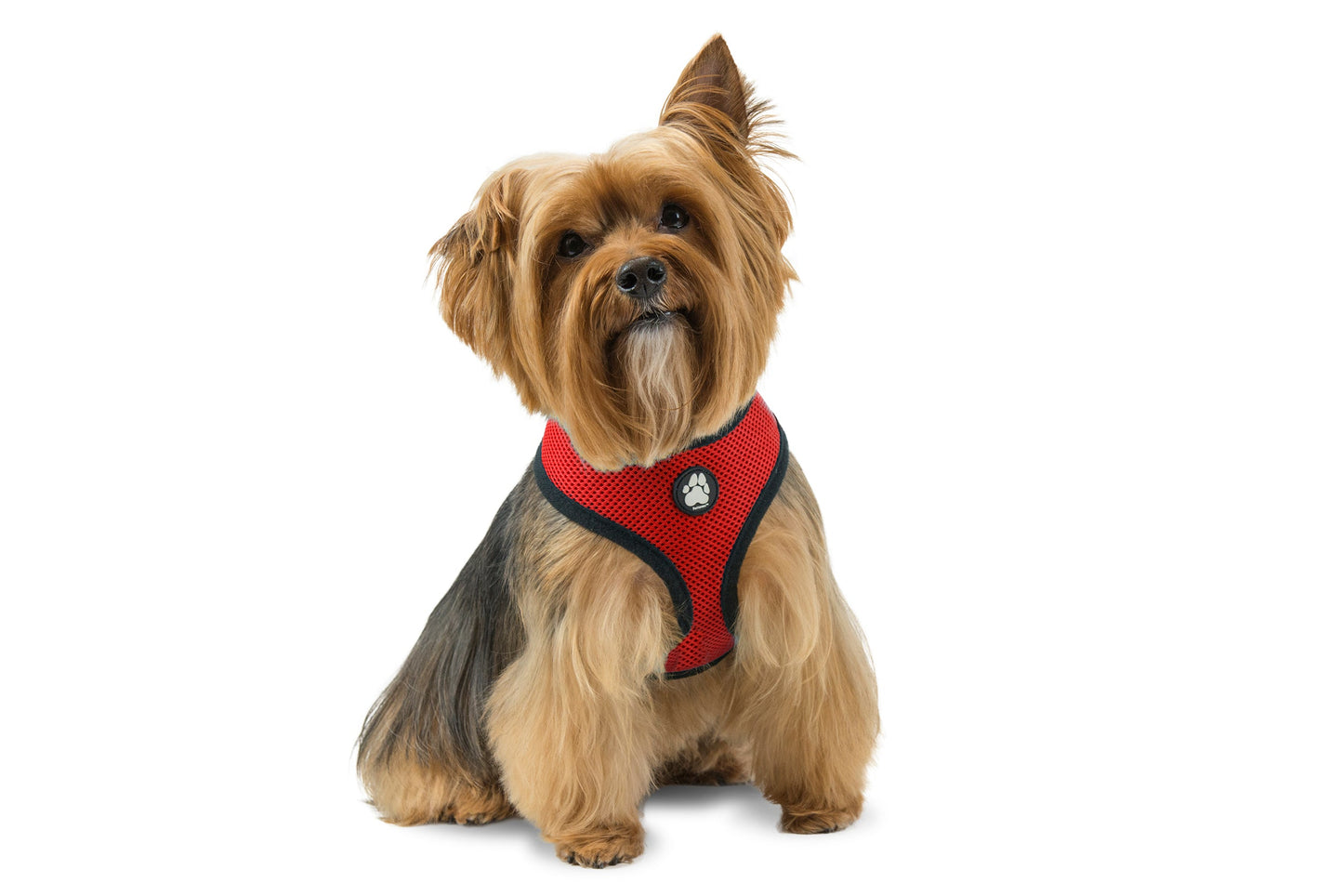 Soft & Comfy Mesh Dog Harness