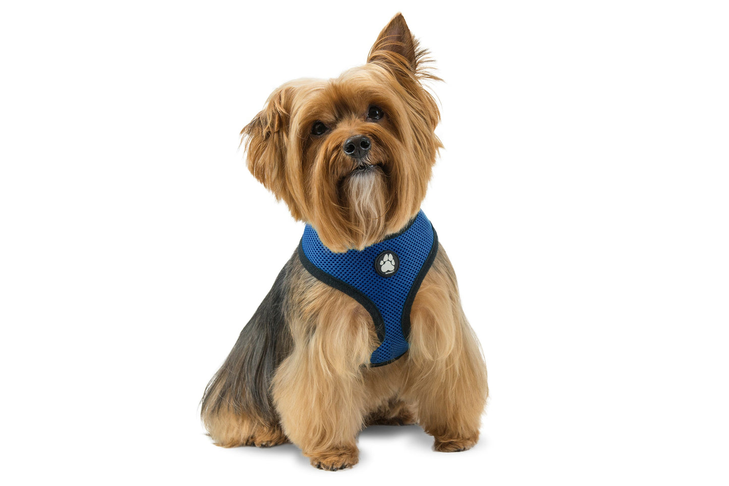 Soft & Comfy Mesh Dog Harness