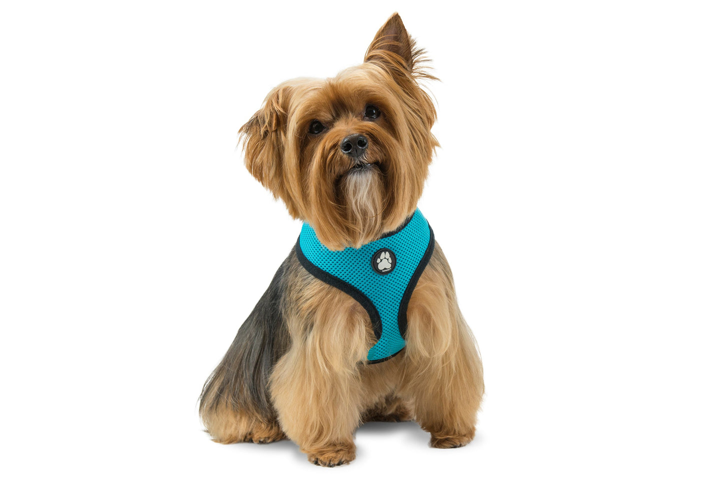 Soft & Comfy Mesh Dog Harness
