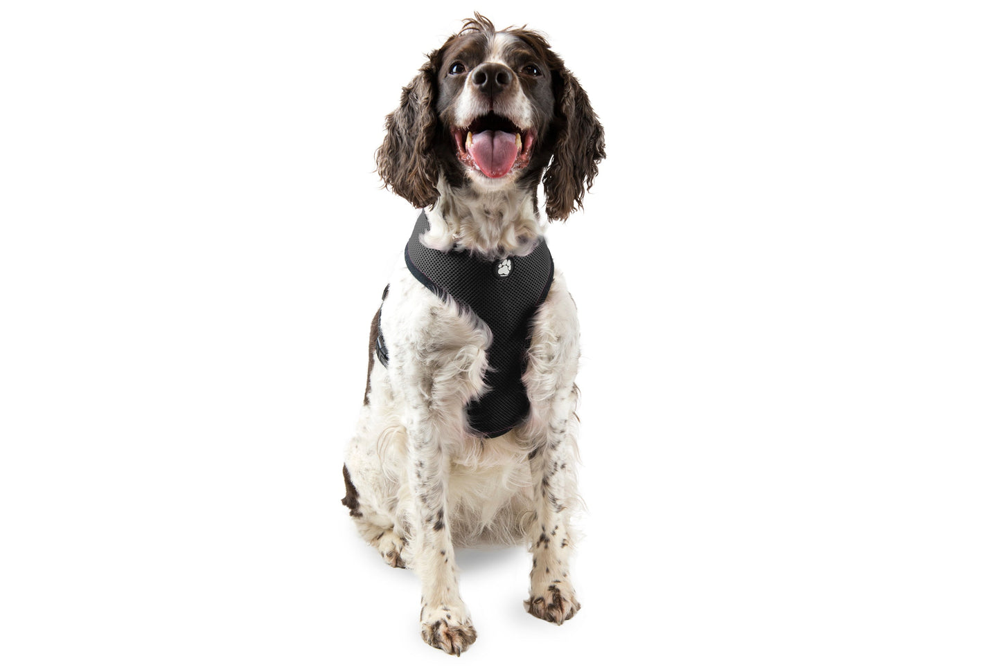 Soft & Comfy Mesh Dog Harness