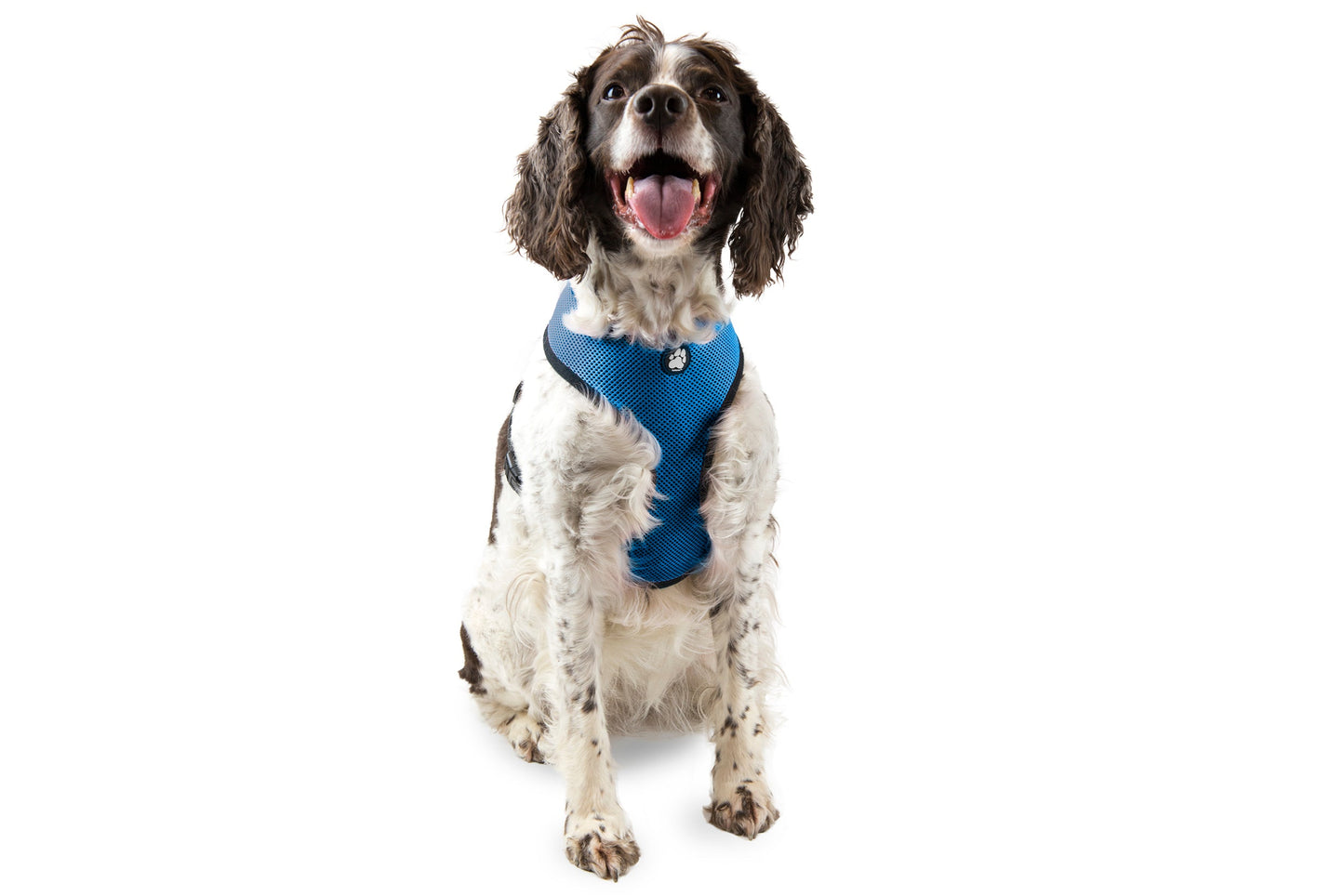 Soft & Comfy Mesh Dog Harness