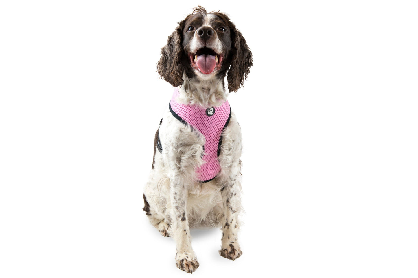 Soft & Comfy Mesh Dog Harness