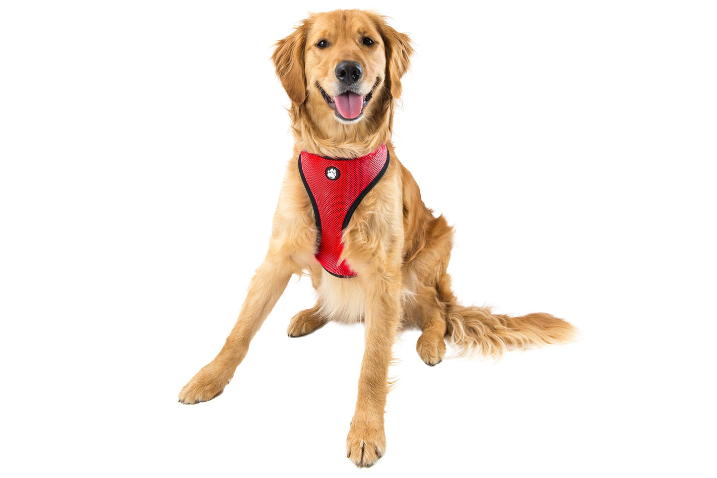 Soft & Comfy Mesh Dog Harness