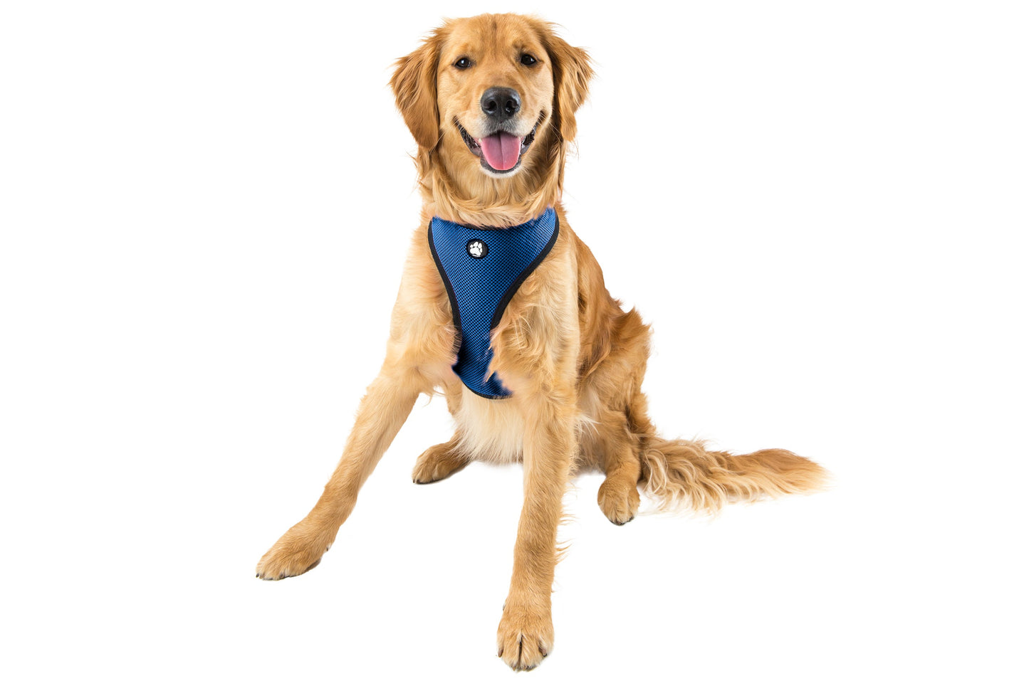Soft & Comfy Mesh Dog Harness