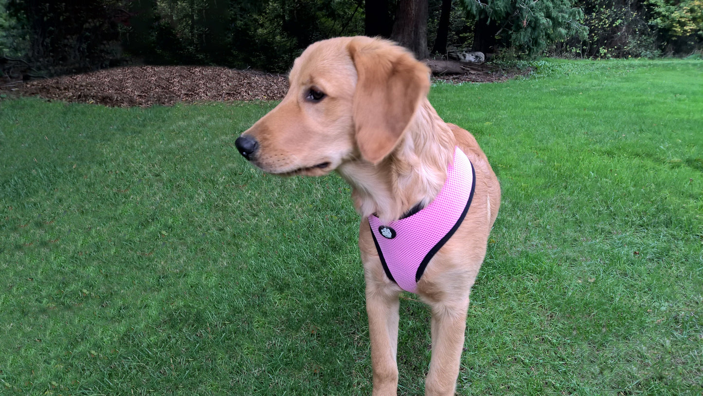 Soft & Comfy Mesh Dog Harness