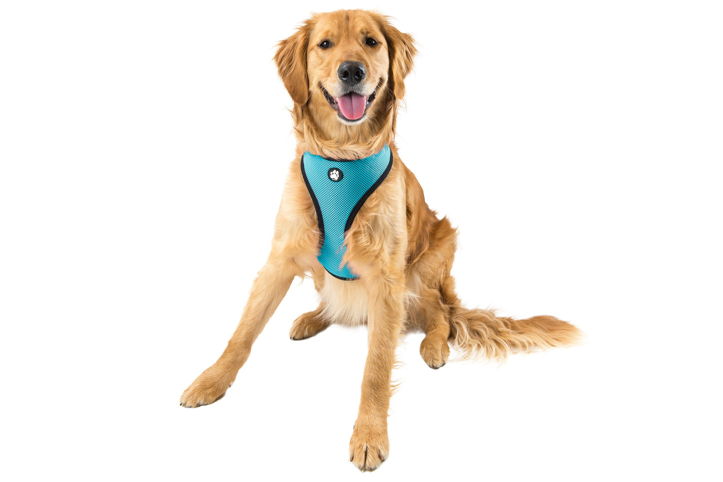 Soft & Comfy Mesh Dog Harness