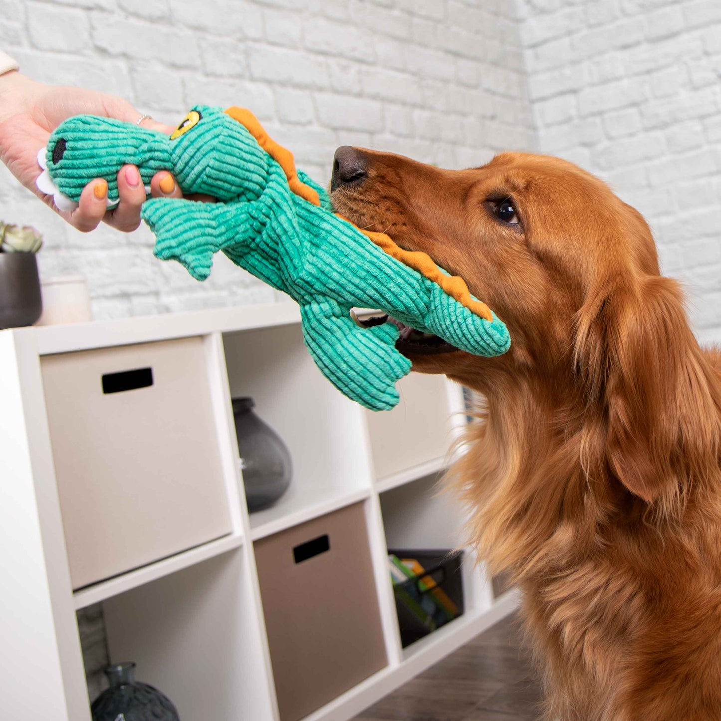 Silent Squeak Gator Plush Chew Guard Dog Toy, Teal, Large