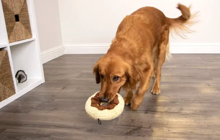Tough 'N Fun™ Food Collection Plush Dog Toys