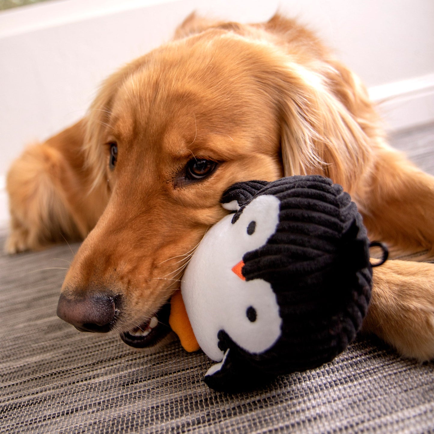 Silent Squeak Penguin Plush Chew Guard Dog Toy, Medium