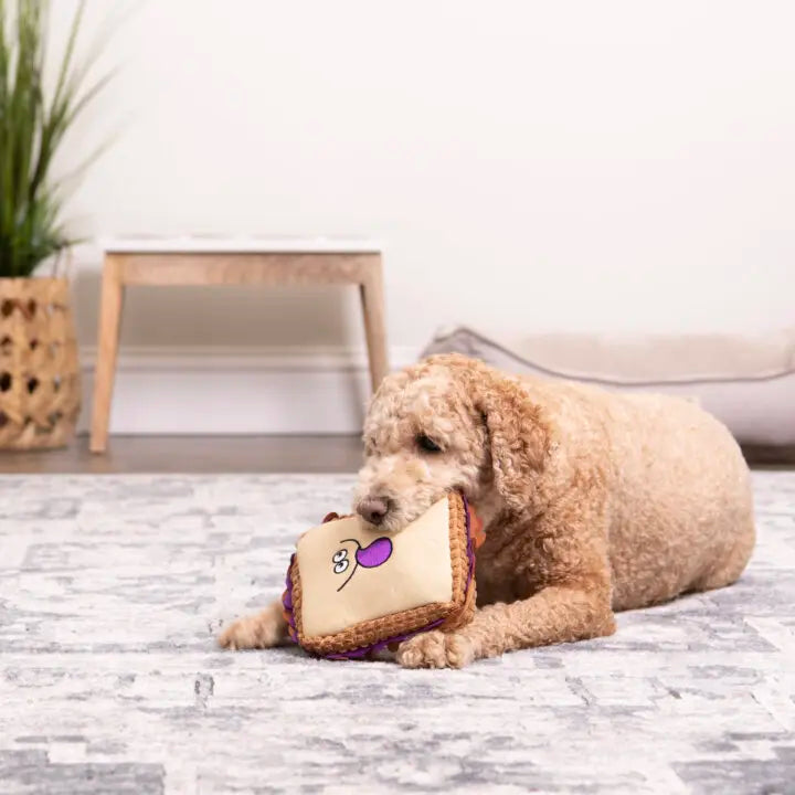 Tough 'N Fun™ Food Collection Plush Dog Toys