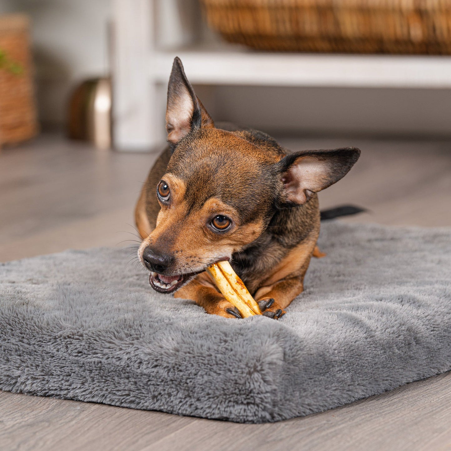 Pet Factory - Made in USA Beefhide Mini Rolls - 3-3.5", 35 Count