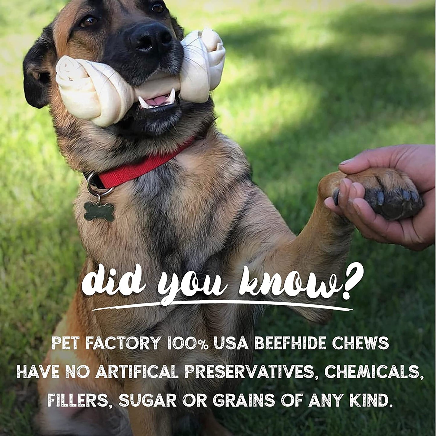 Pet Factory - Made in USA Beefhide Chips - 8oz, Flavored Dog Treats