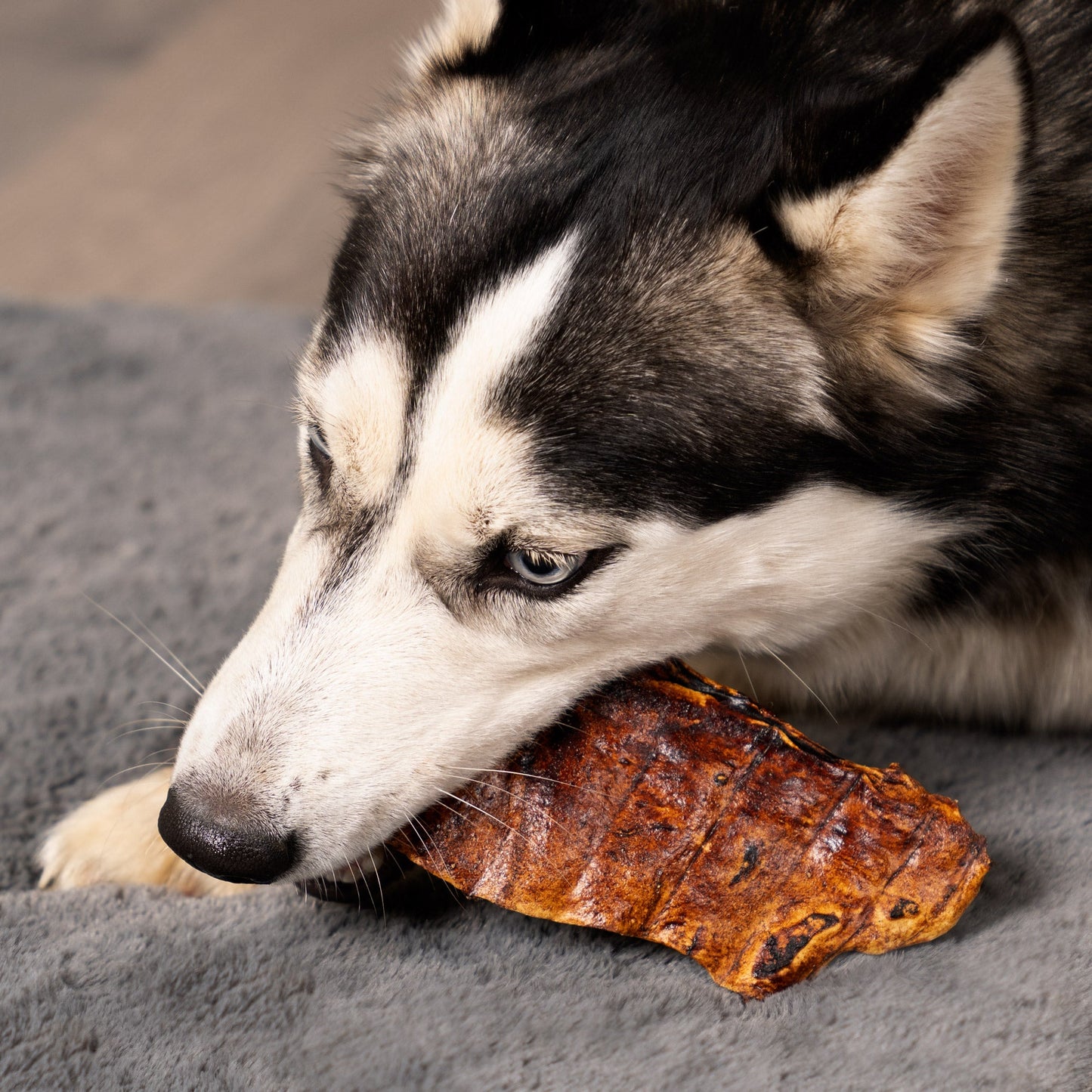 Pet Factory - Made in USA Beefhide Chips - 8oz, Flavored Dog Treats