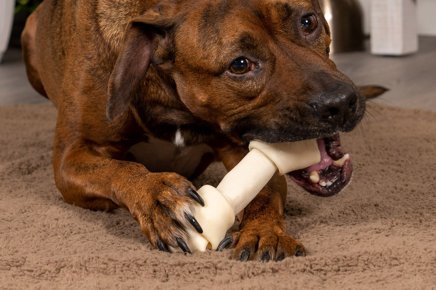 Pet Factory - Made in USA Beefhide Bone 6" Flavored Dog Treat