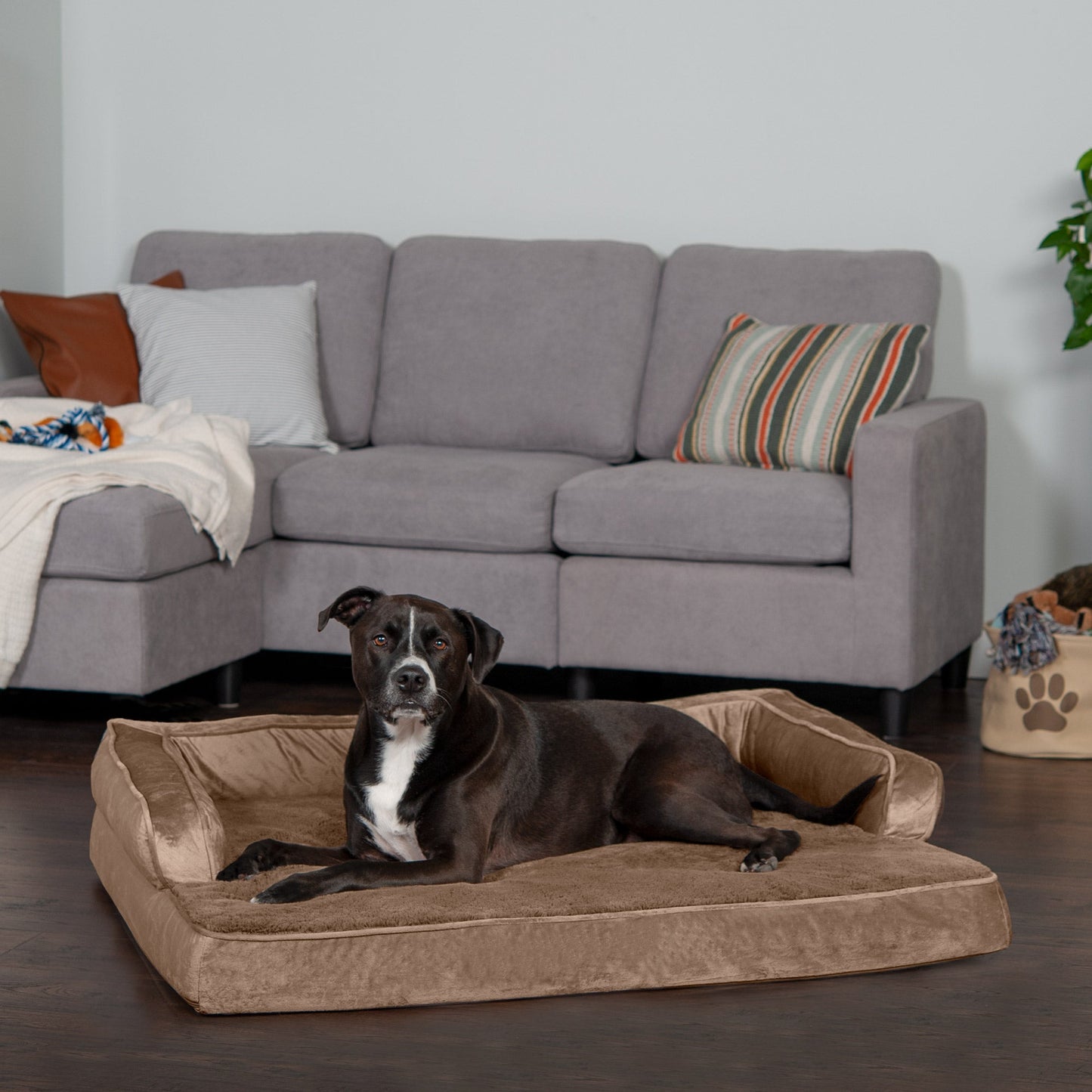 Sofa Dog Bed - Plush & Velvet Comfy Couch