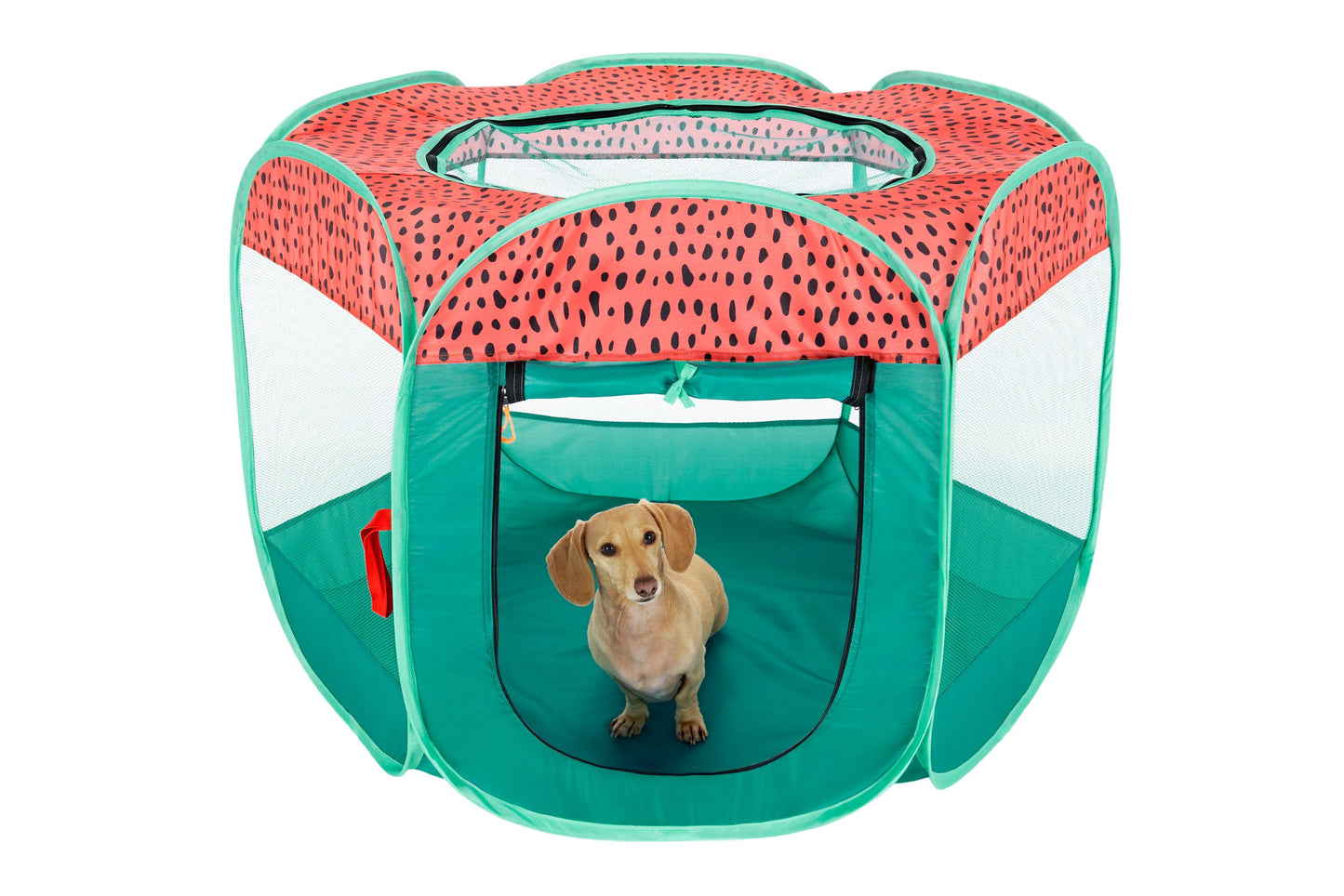 Portable Mesh Pet Playpen
