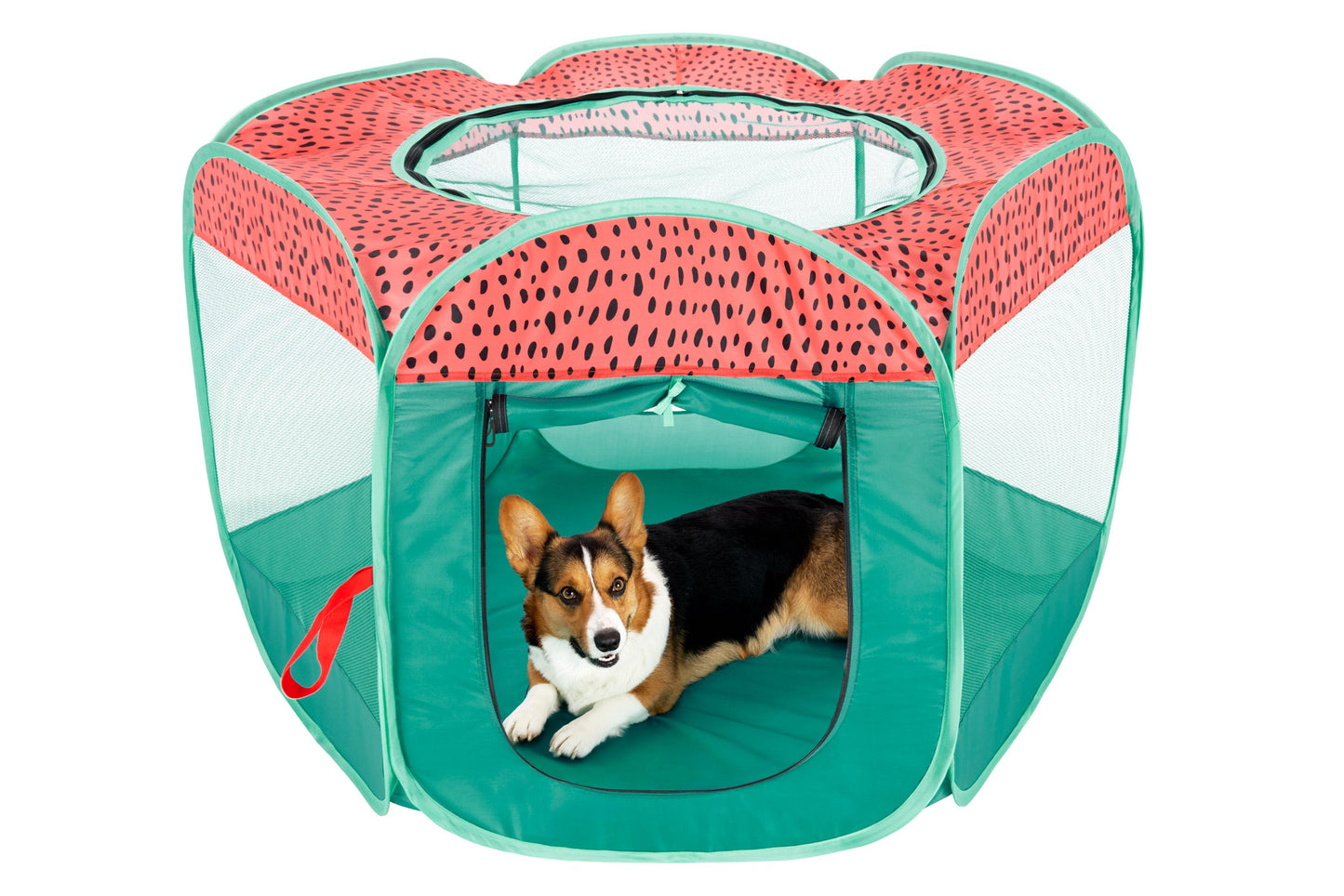 Portable Mesh Pet Playpen