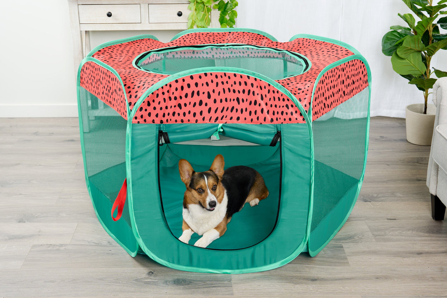 Portable Mesh Pet Playpen