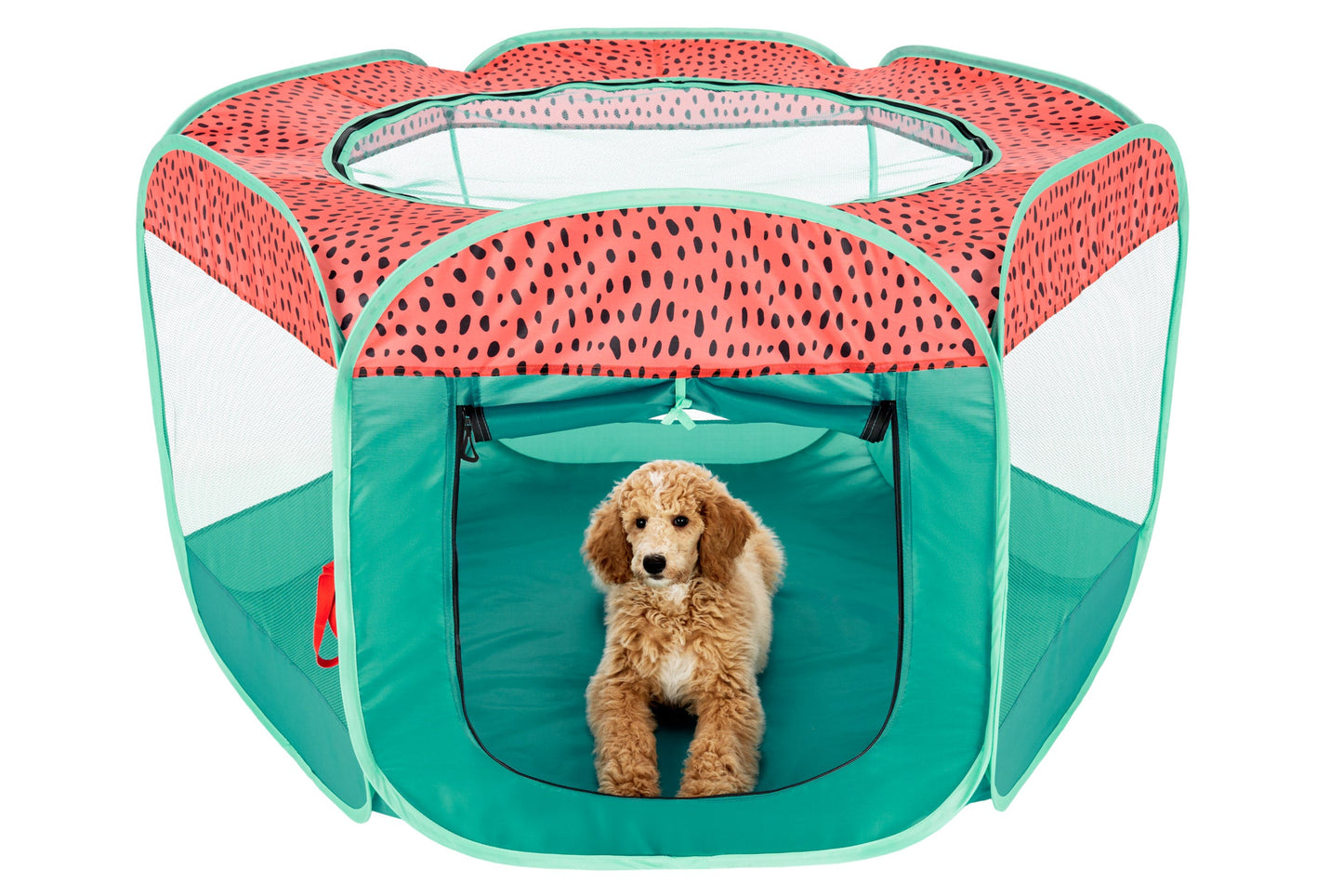 Portable Mesh Pet Playpen
