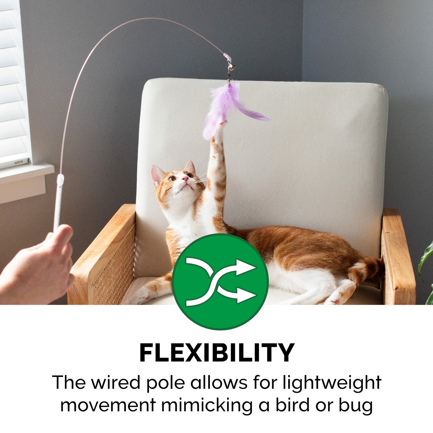 Dizzy Kitty Feather Cat Wand Toy (2 pack)