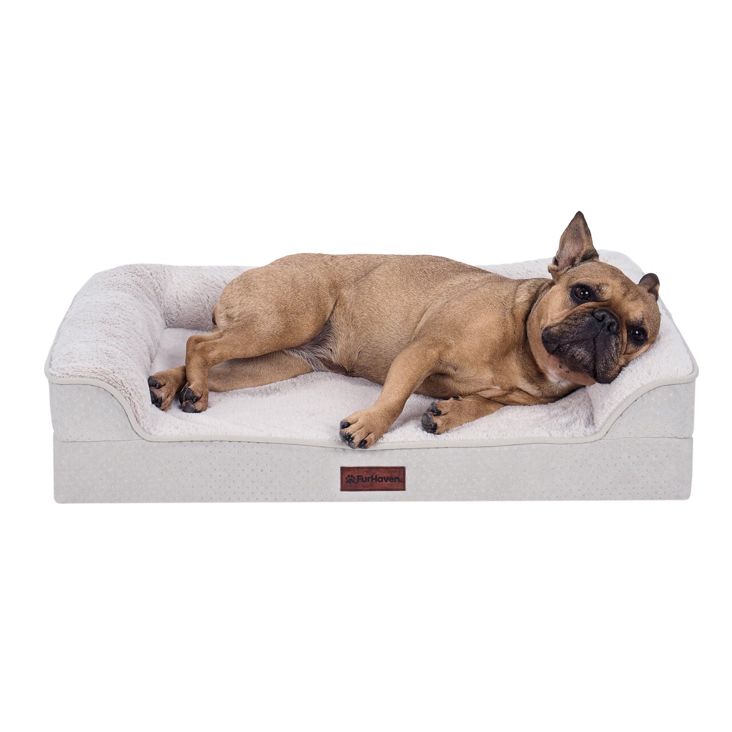 Plush & Embossed Velvet Dreamer Modern Sofa Pet Bed
