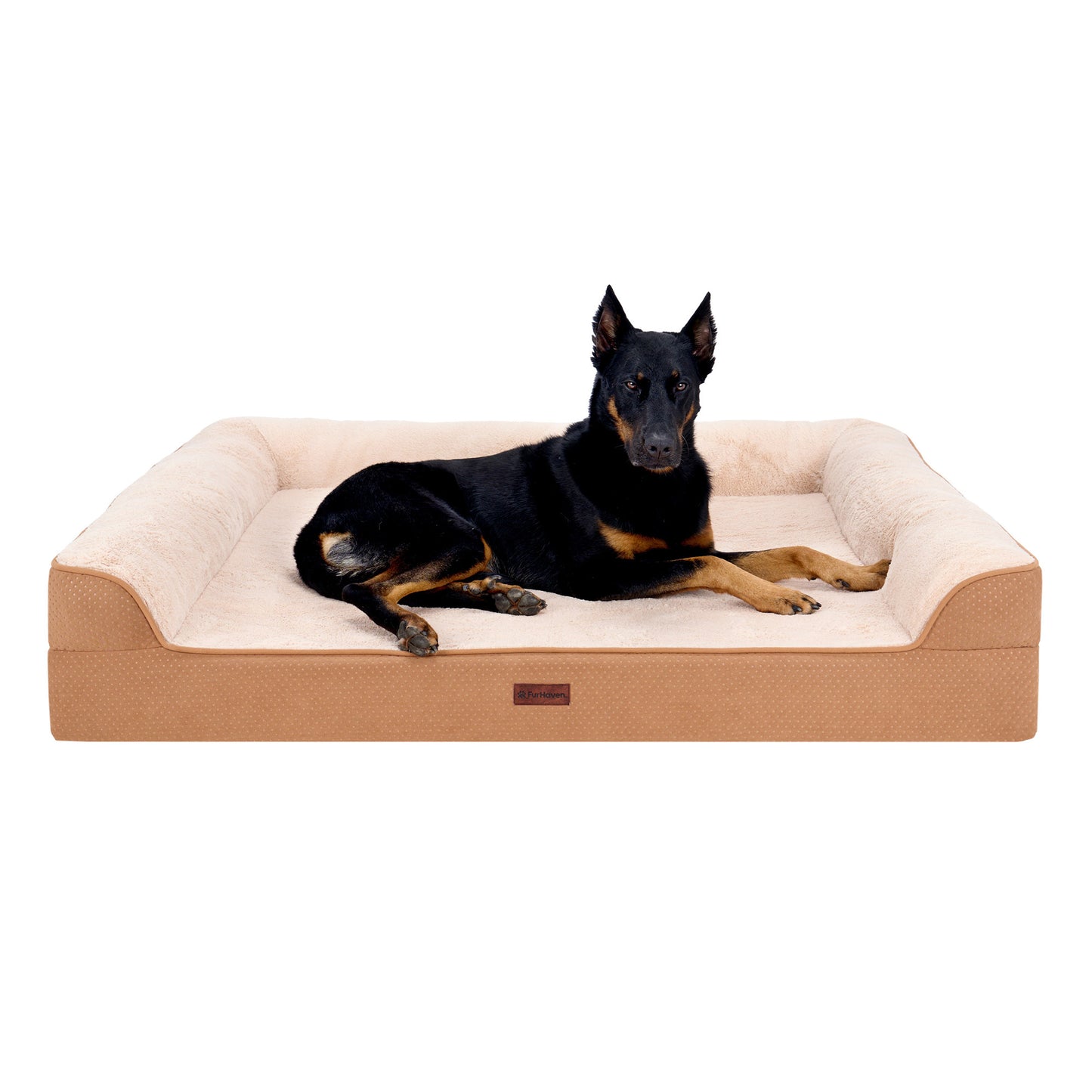 Plush & Embossed Velvet Dreamer Modern Sofa Pet Bed