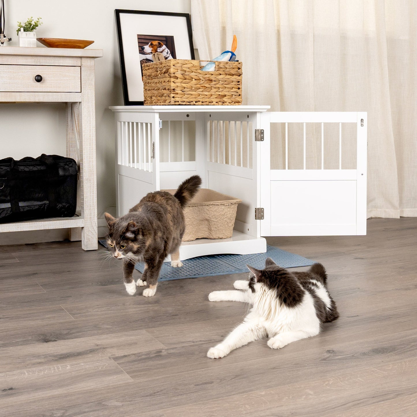 Kitty Sift Deluxe Disposable Heavy Duty Litter Box, Jumbo, 2-Pack