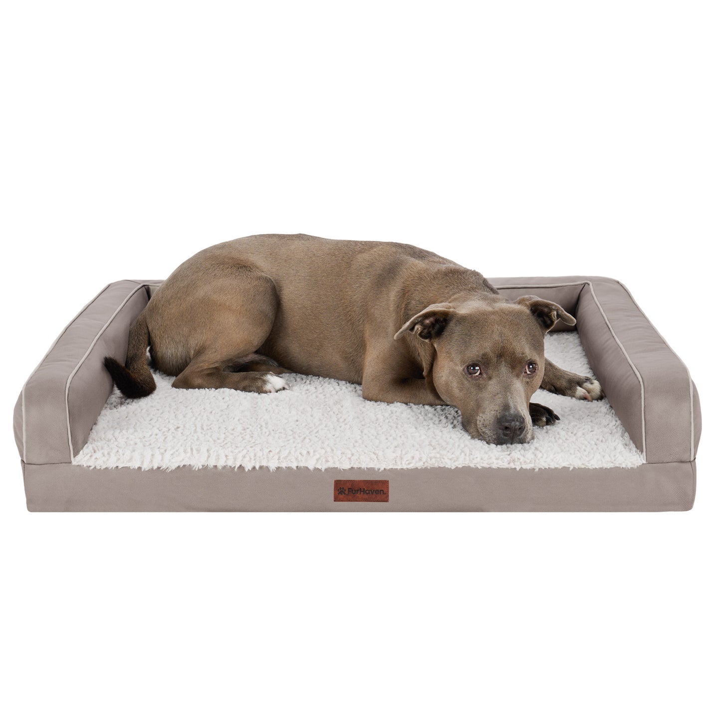 Textured Plush & Coated Poly Modern Sofa Pet Bed