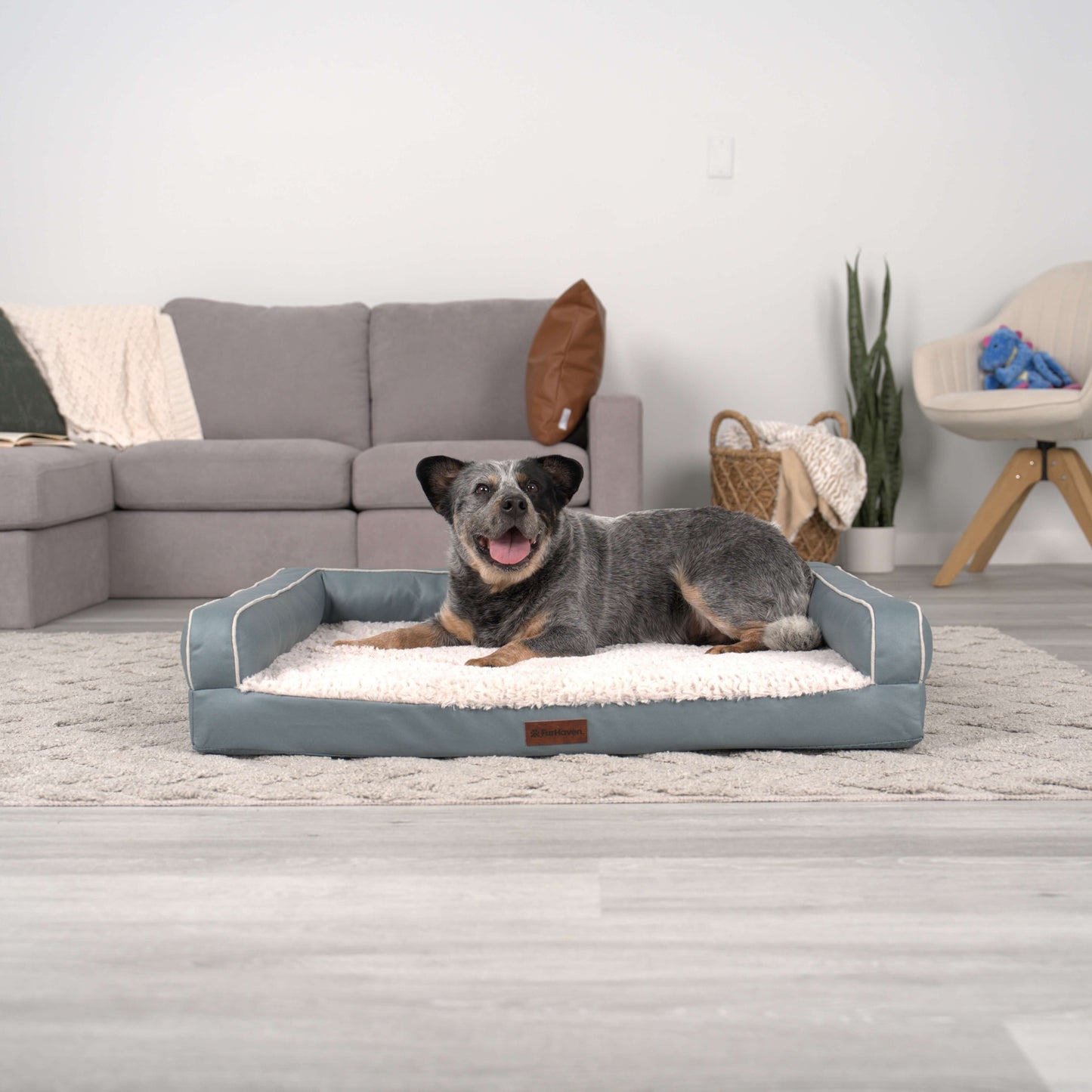 Textured Plush & Coated Poly Modern Sofa Pet Bed