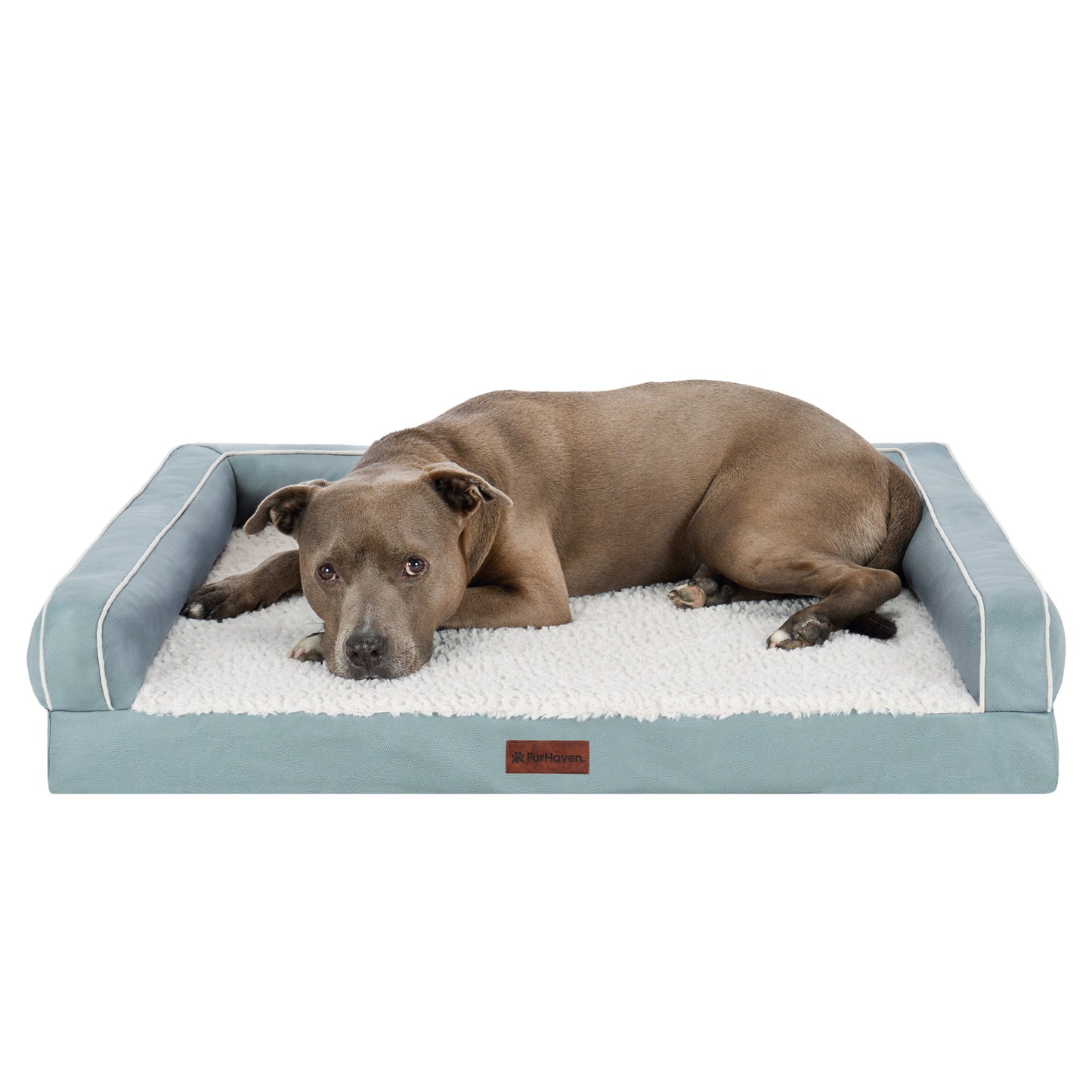 Textured Plush & Coated Poly Modern Sofa Pet Bed