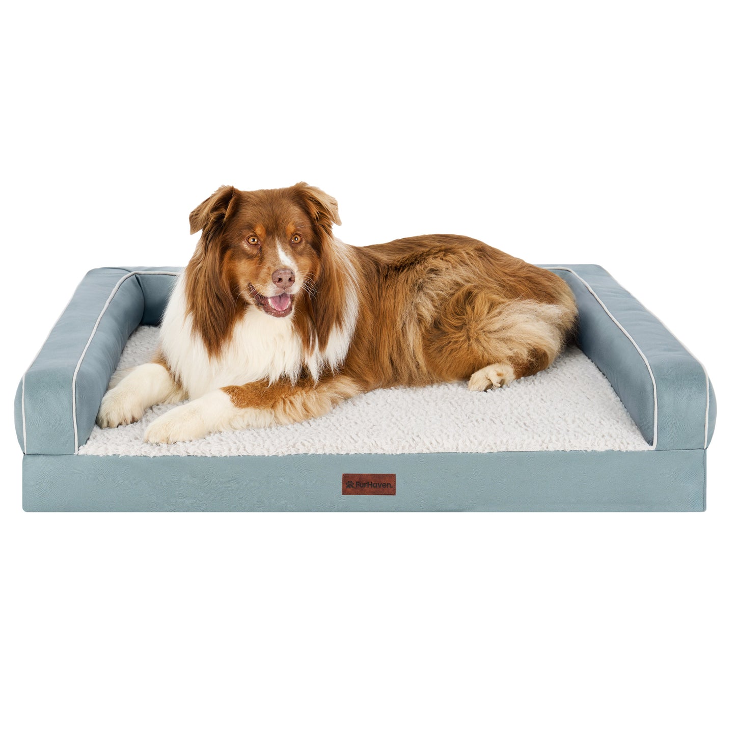 Textured Plush & Coated Poly Modern Sofa Pet Bed