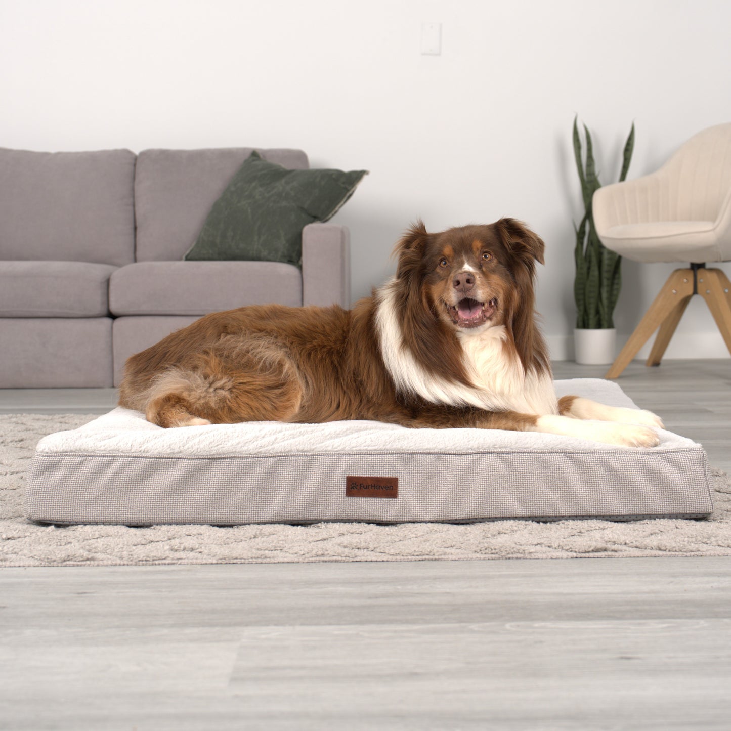 Plush & Decorator Check Tuft-Top Classic Cushion Pet Bed