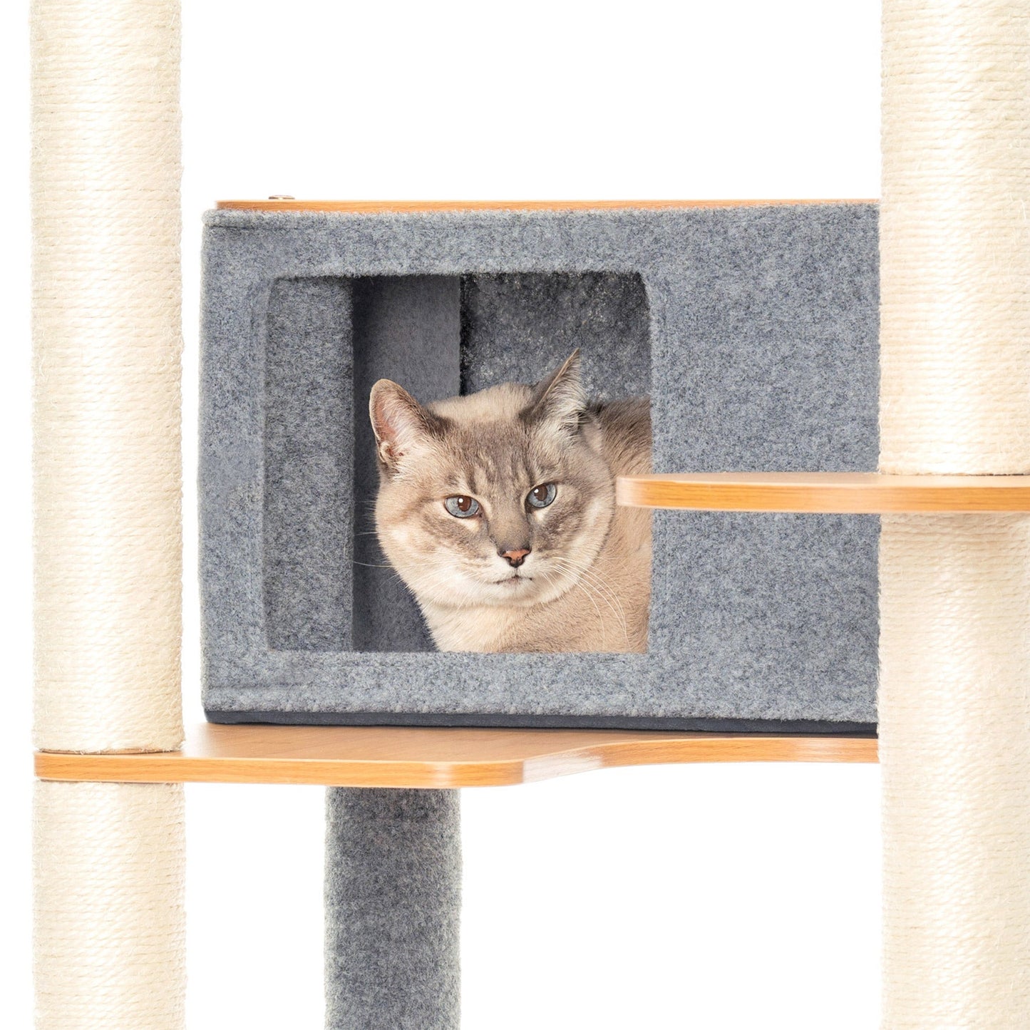 Ascentials by FurHaven Grand Suite Cat Tower (68”-78”), Customizable Multi-Level Indoor Cat Tree