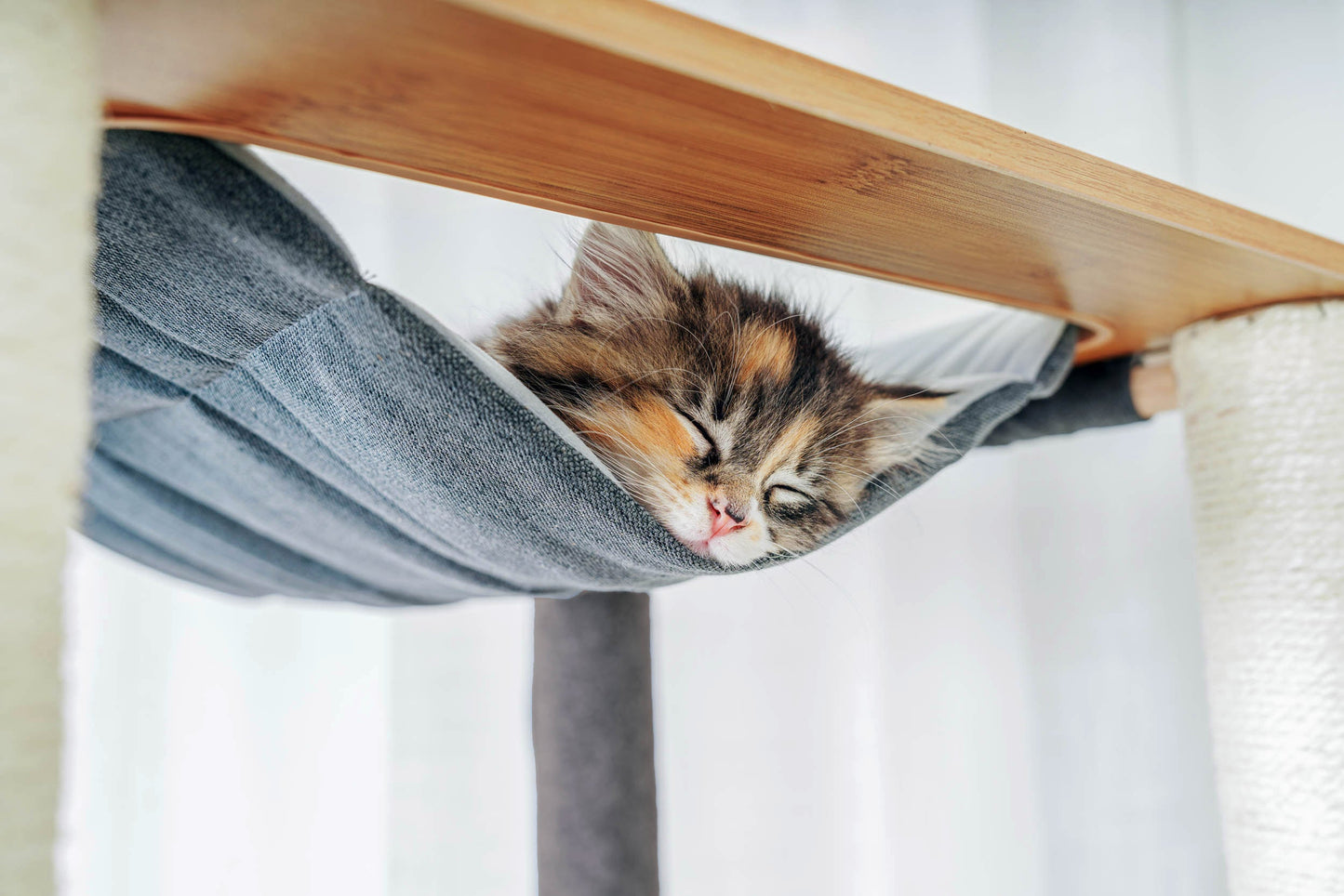 Ascentials by FurHaven Grand Suite Cat Tower (68”-78”), Customizable Multi-Level Indoor Cat Tree