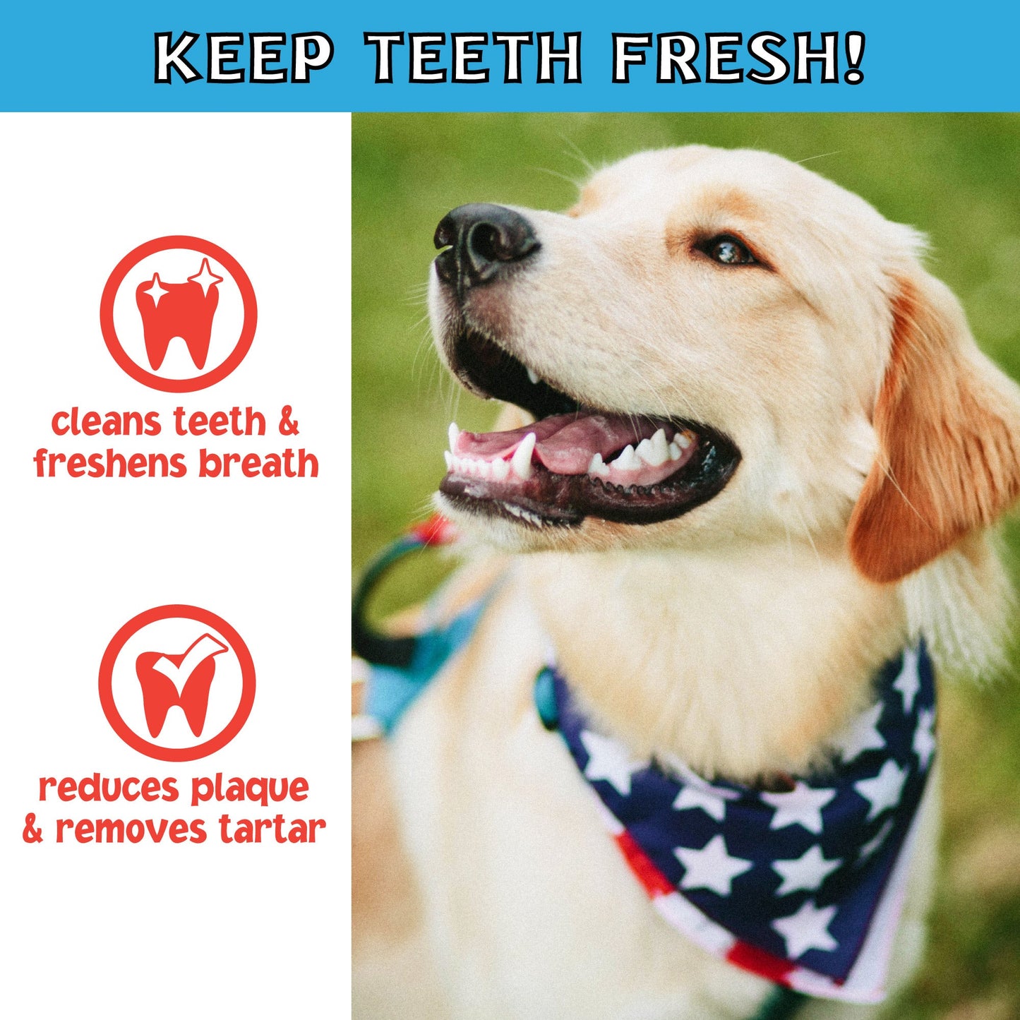 Pet Factory - Twistedz American Beefhide Chip Rolls with Meat Wrap 5" Dog Treats