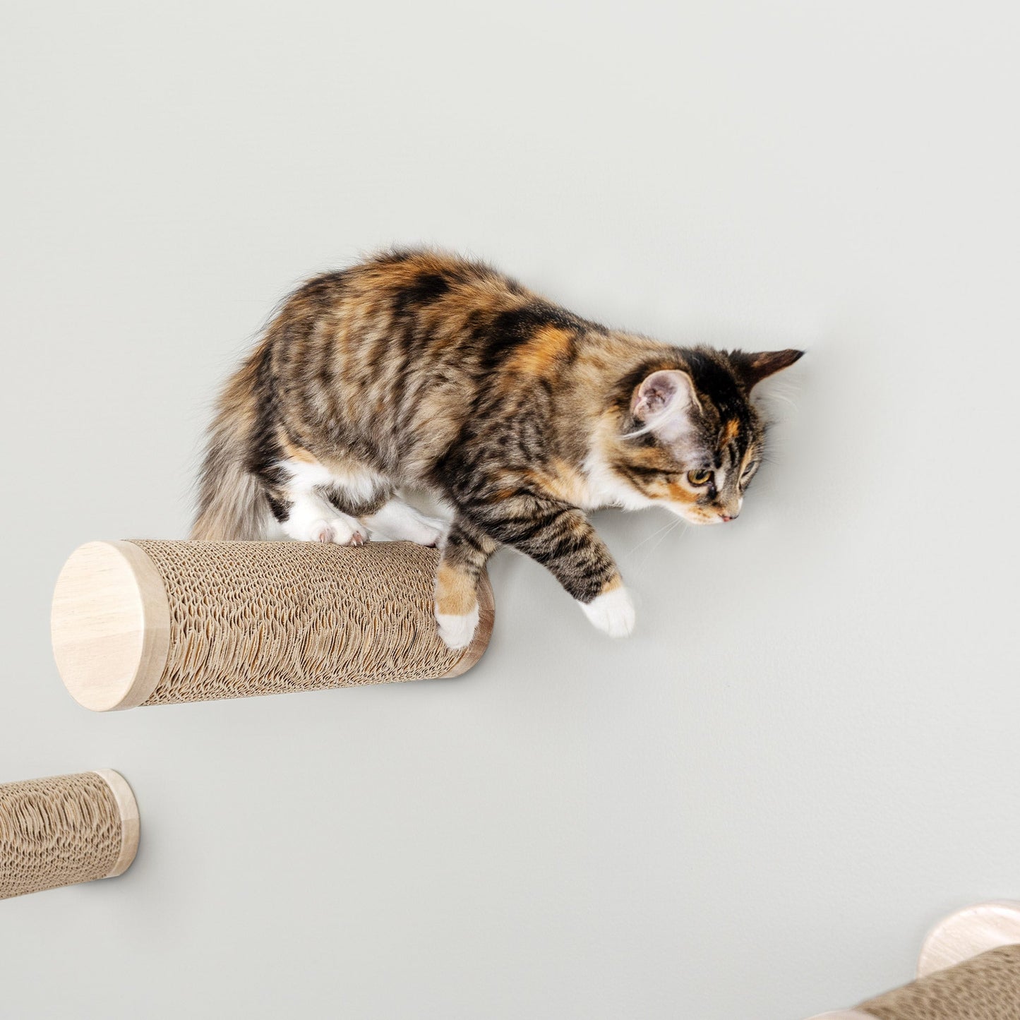 Ascentials by FurHaven Wall Mounted Milestone Post Cat Perch