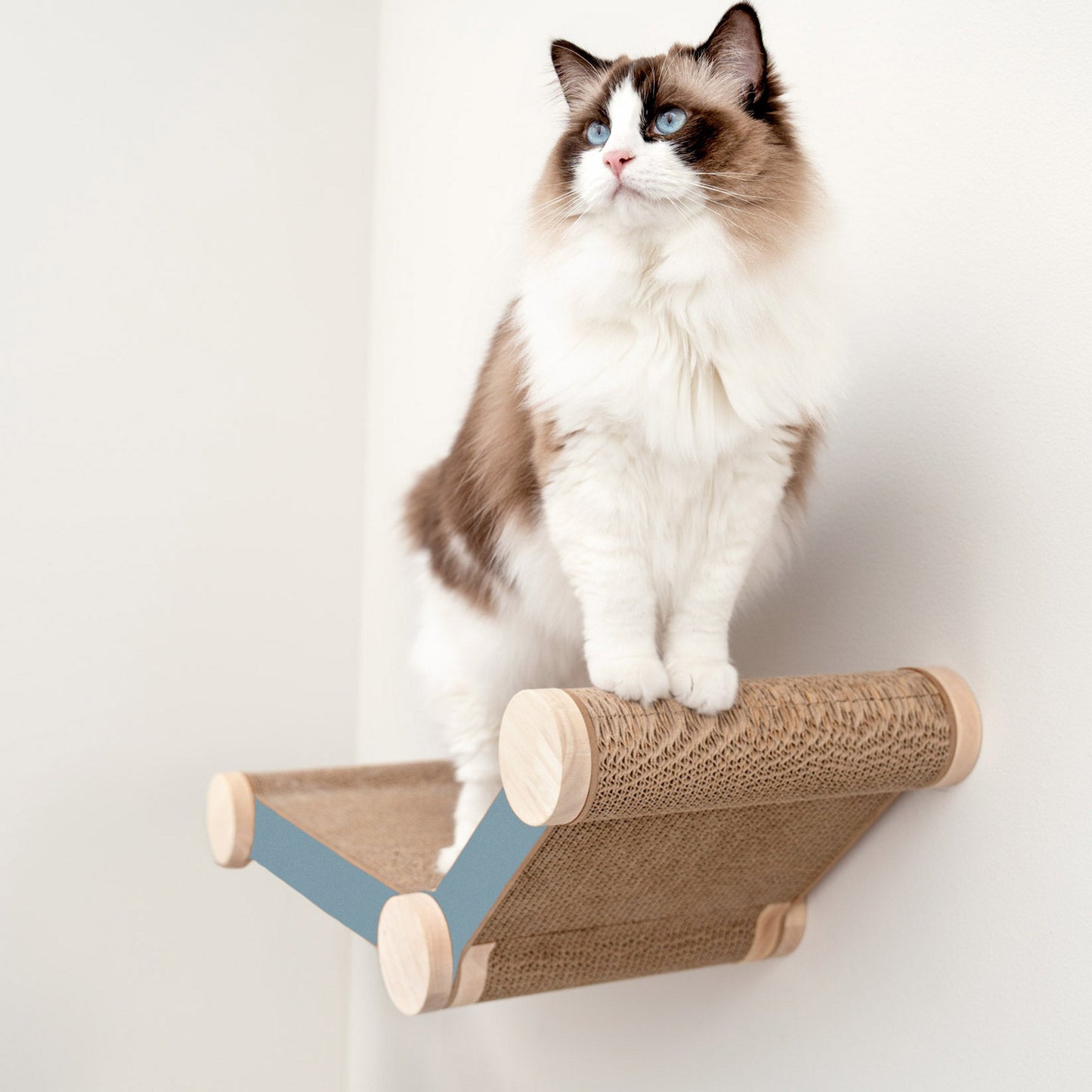 Ascentials by FurHaven Wall-Mounted Lookout Lounge Cat Shelf (26")