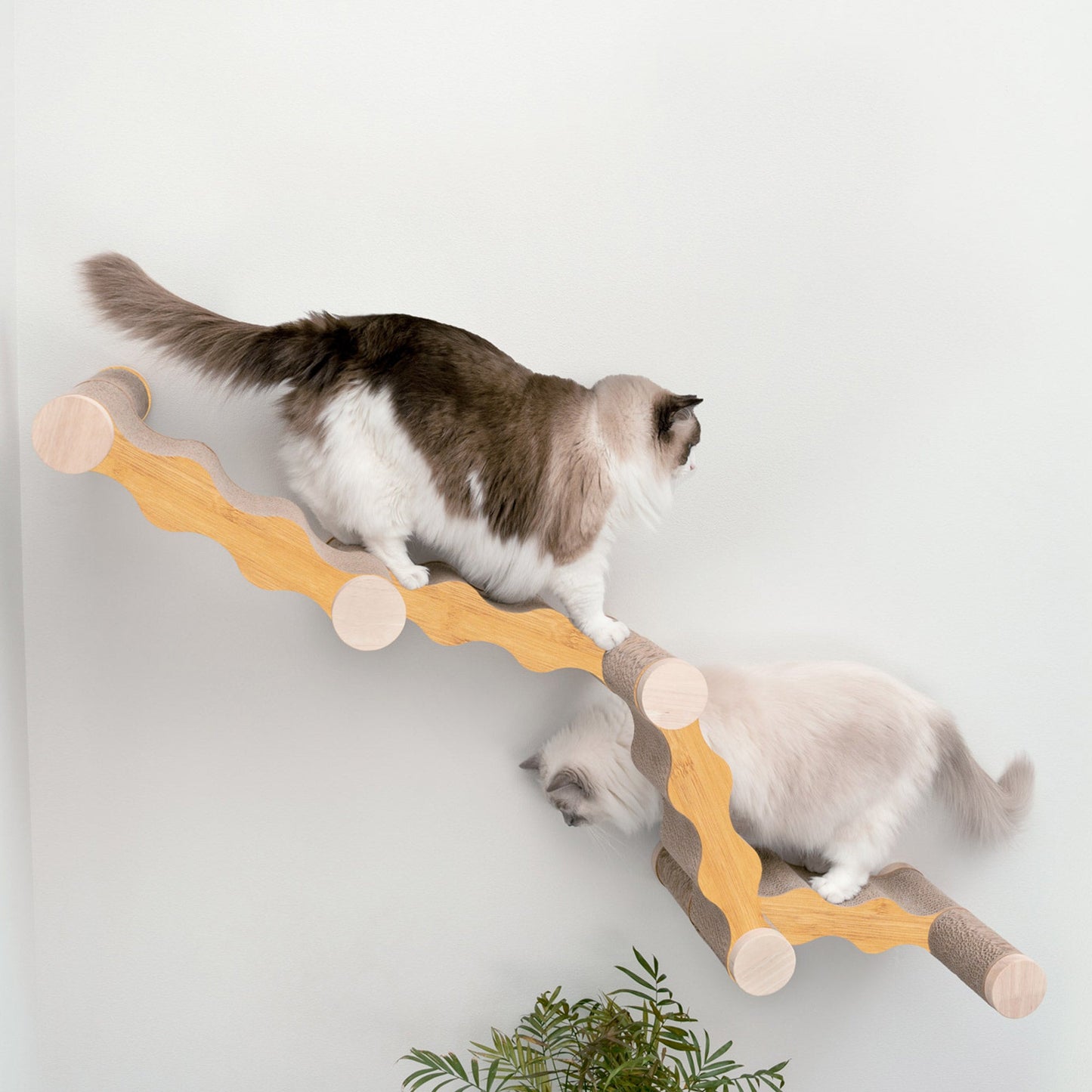 Ascentials by FurHaven Wall-Mounted Modular Scratching Perch Wave Cat Ramp (60”)