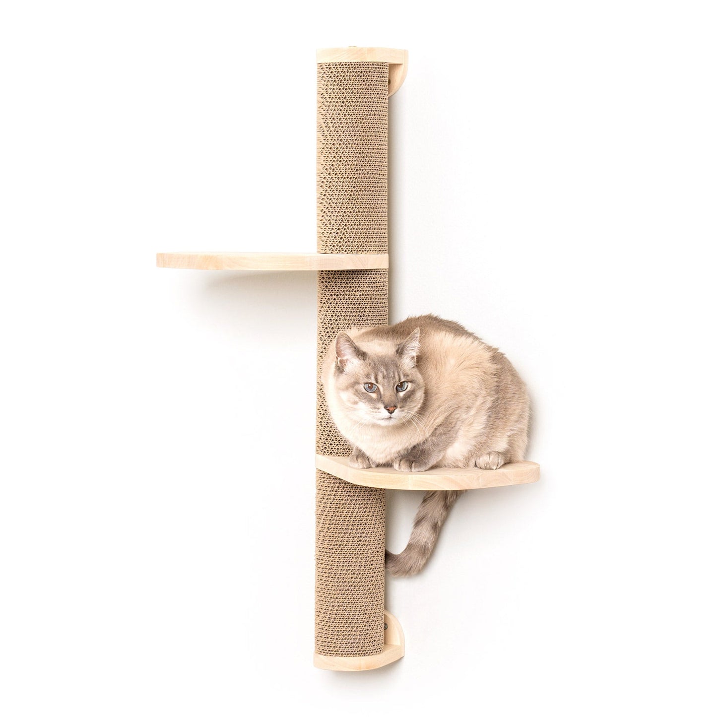 Ascentials by FurHaven Wall-Mounted Sunrise Steps Corrugated Cat Post with Perches (34”)