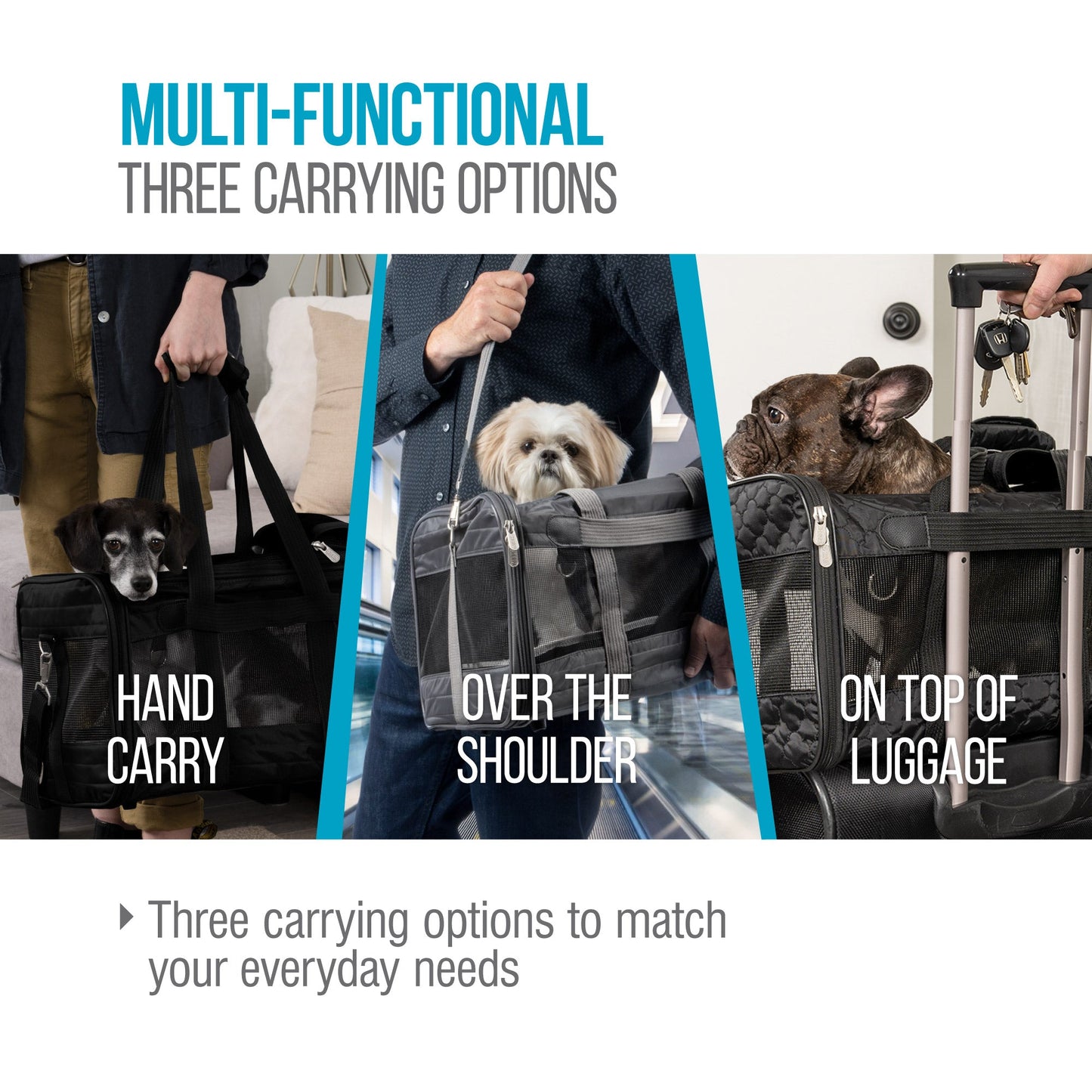 TRAVEL DELTA® AIR LINES® Airline Approved Pet Carrier, Medium, Black