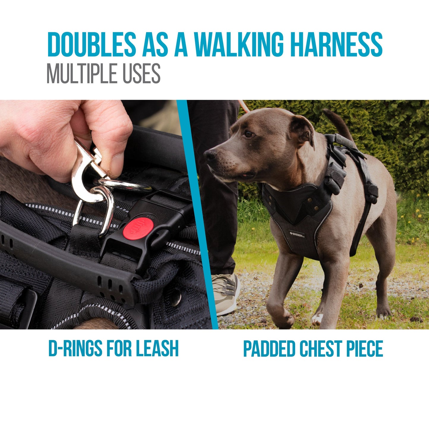 Seatbelt Harness, Crash Tested Dog Harness, Adjustable, With No-Pull D Ring