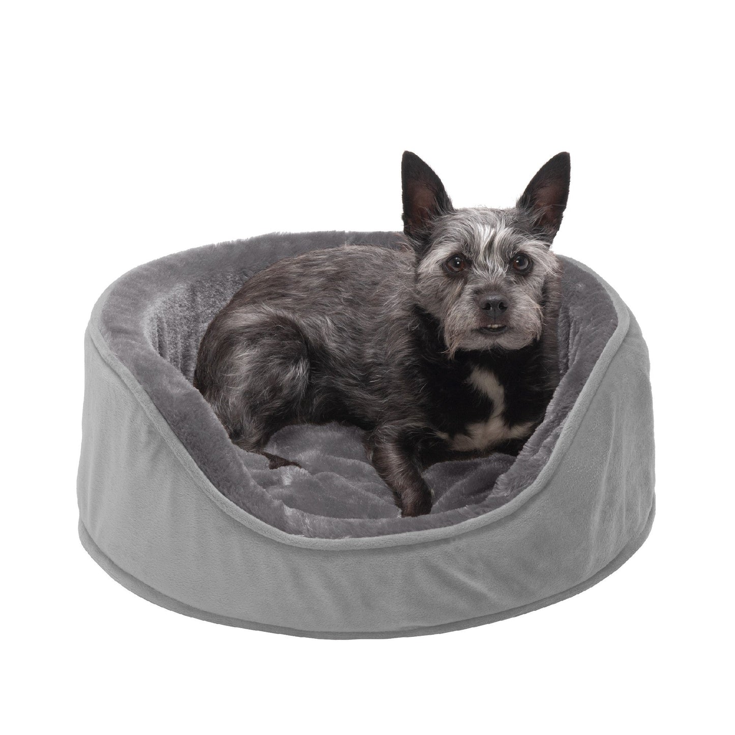 Oval Dog Bed - Plush & Velvet