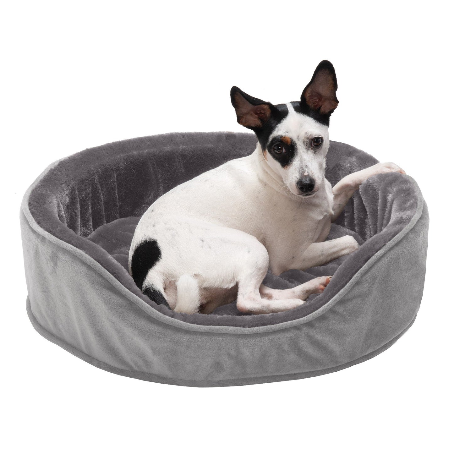 Oval Dog Bed - Plush & Velvet