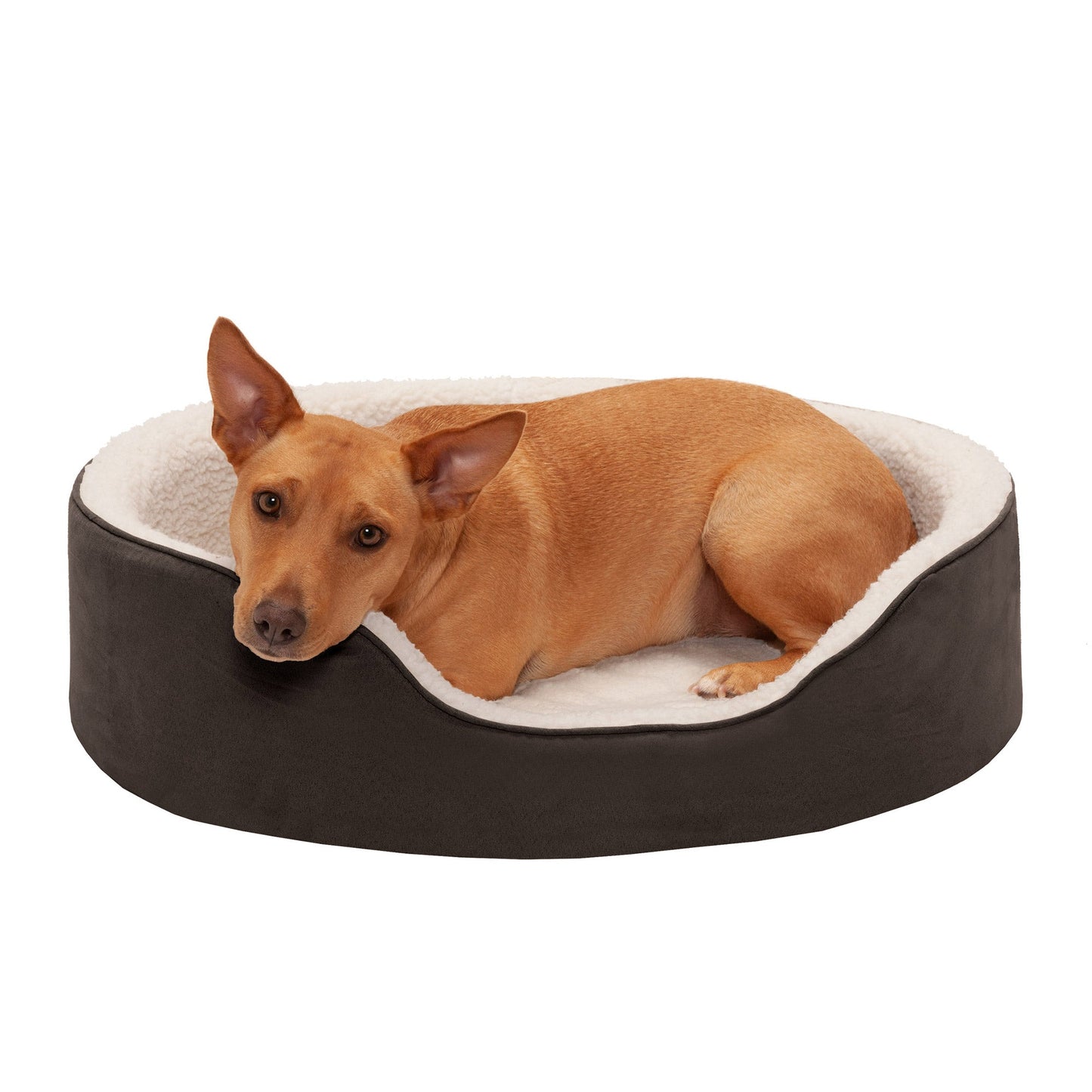 Oval Dog Bed - Faux Sheepskin & Suede