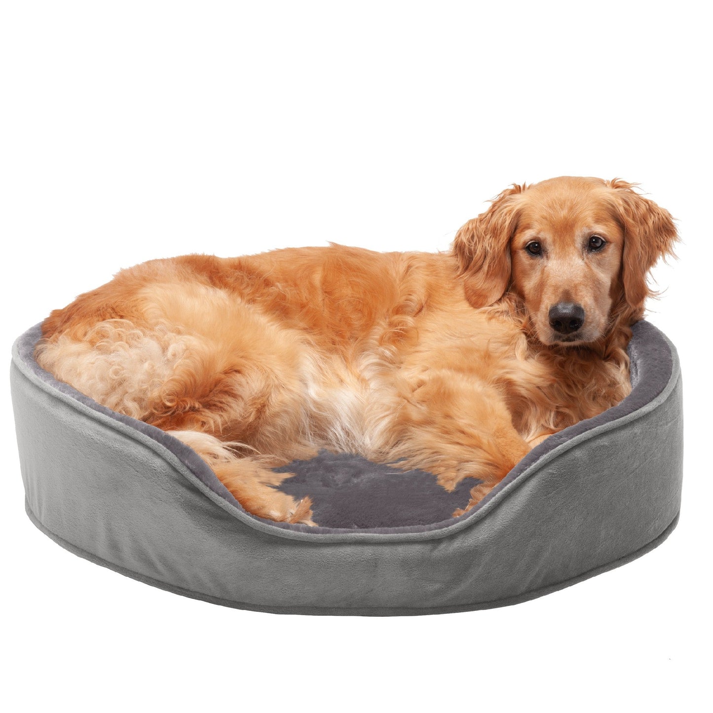 Oval Dog Bed - Plush & Velvet