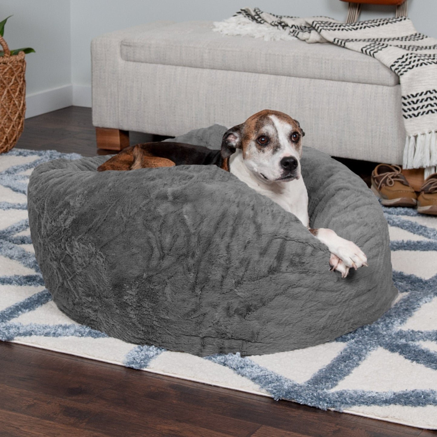Plush Ball Dog Bed